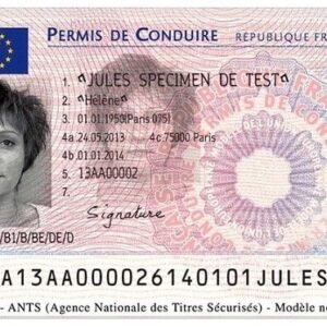 French drivers licenses