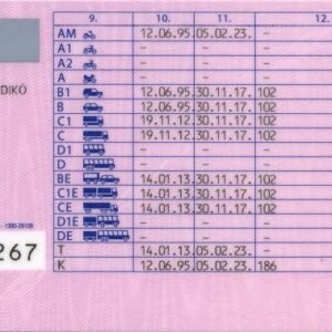 Vezetői Engedély Hungary (Driver’s License)