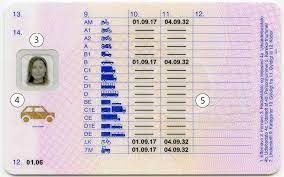Bus kørekort Danmark | (Drive License)