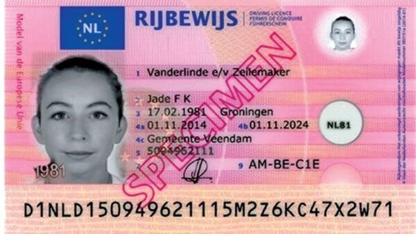 Rijbewijs kopen – Netherlands Driving Licence